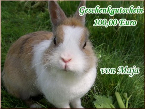 Gutschein 100,- Euro für die Kaninchen-WG