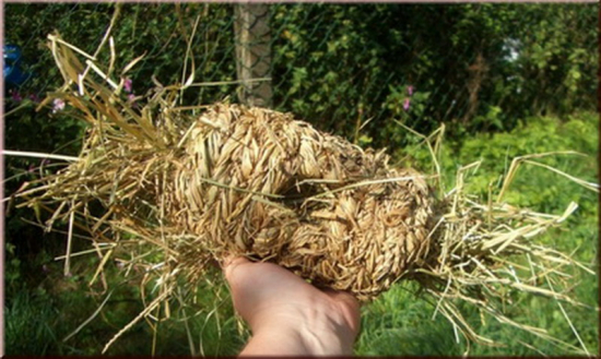 Grasröhrchen 18 cm lang