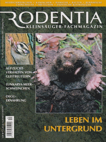 RODENTIA 40, Leben im Untergrund, November/Dezember 2007