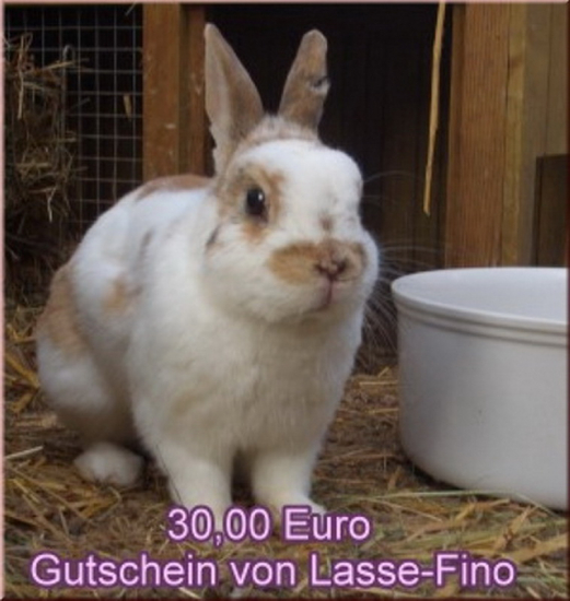 Gutschein 30,- Euro für die Kaninchen-WG