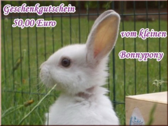 Gutschein 50,- Euro für die Kaninchen-WG