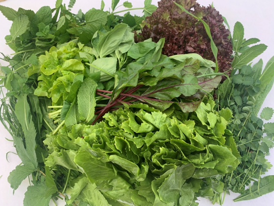Frischekiste Salat und Kräuter 3 kg