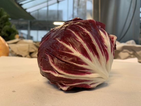 Radicchio frisch 1 Stück